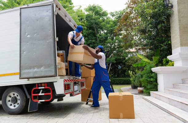 A Complete Guide to House Removals in Melbourne for Stress Free Moving